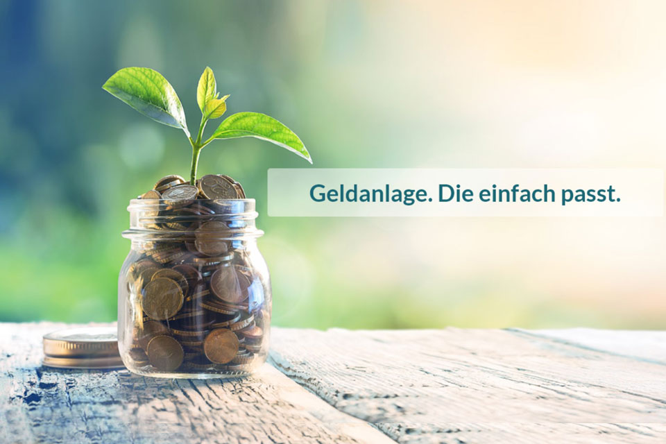dhp-Management-GmbH